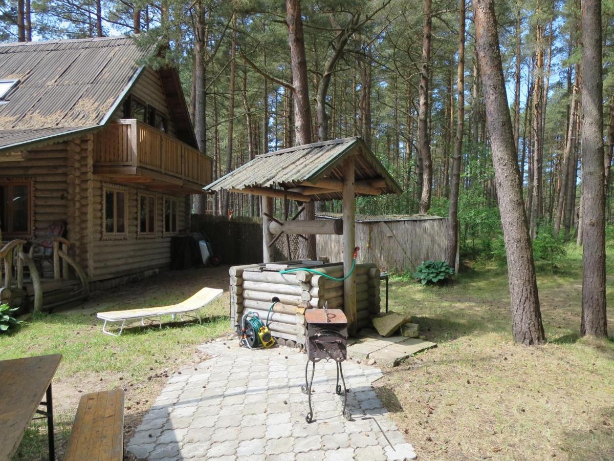 Edmundas Palanga Exteriör bild