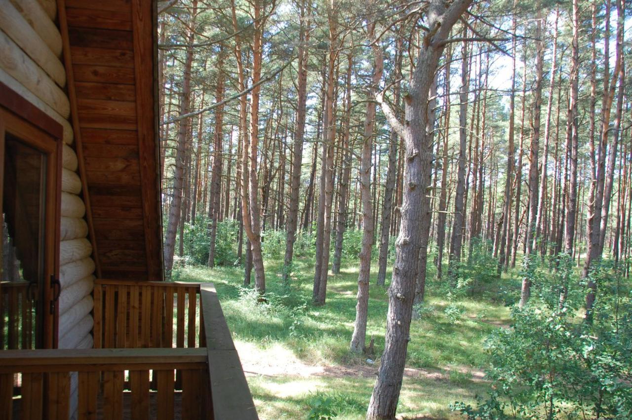 Edmundas Palanga Exteriör bild